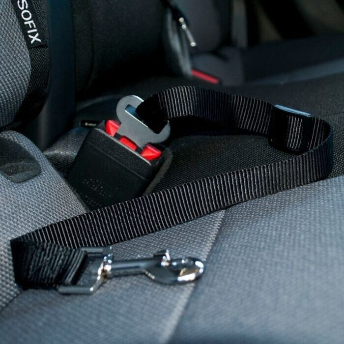 Single Dog Car Seat Belt for Dogs and Cats, extendable and safe use!